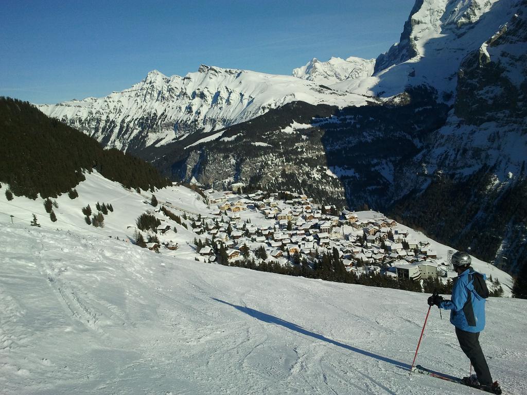 Alpenblick 2*