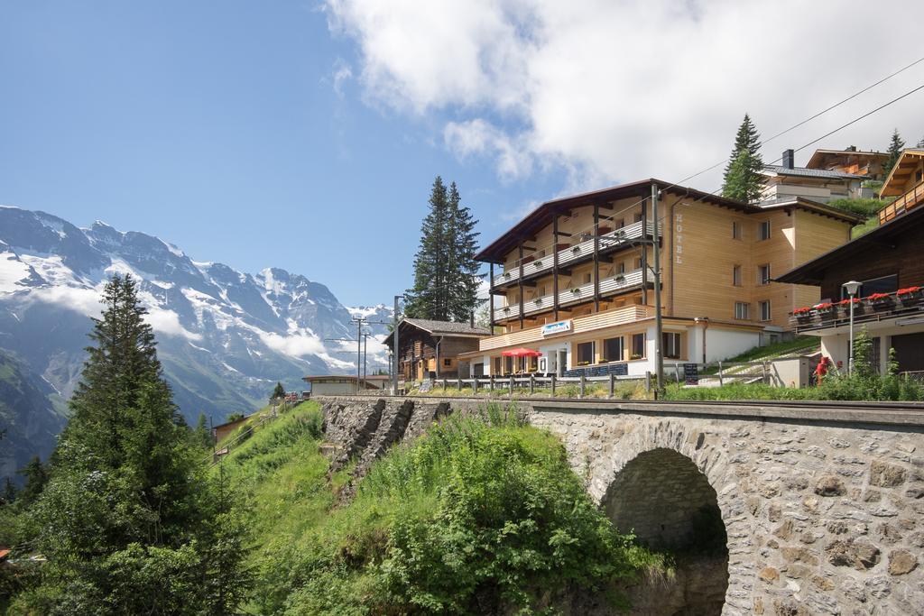 Alpenblick Guest house 2*