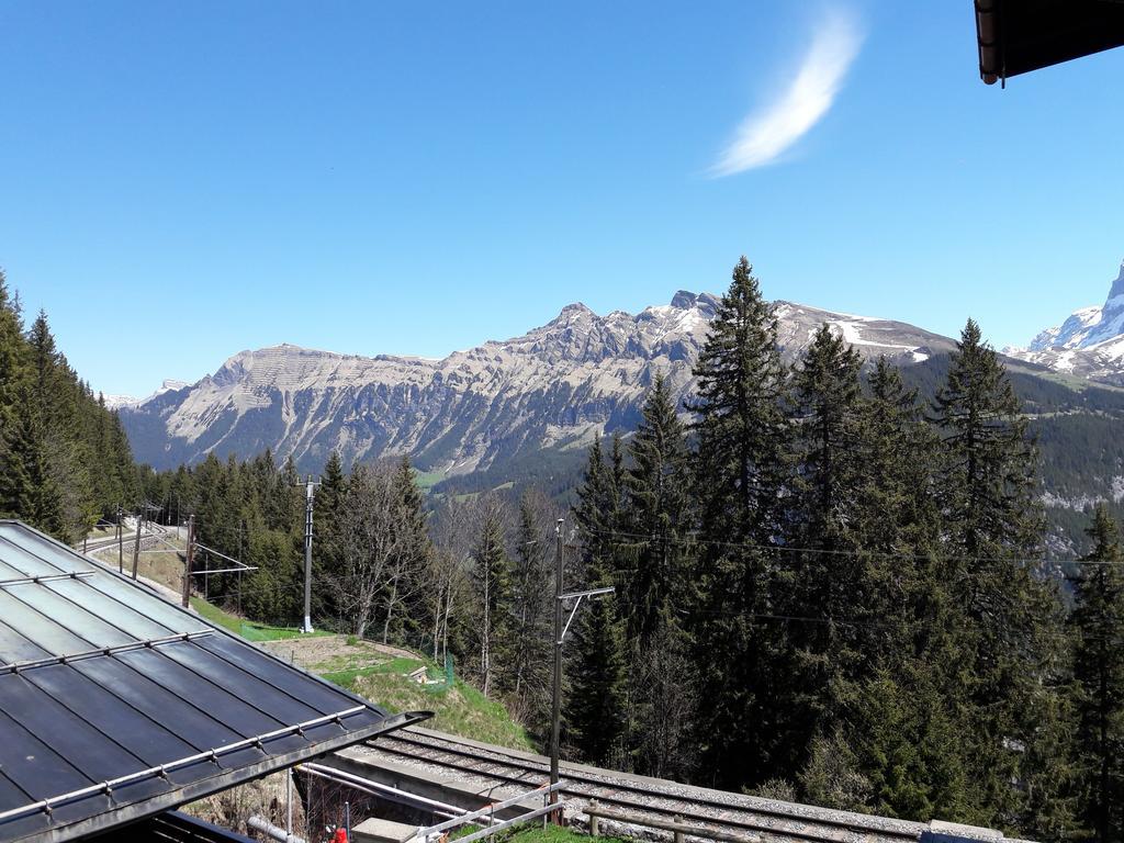 Alpenblick Guest house 2*