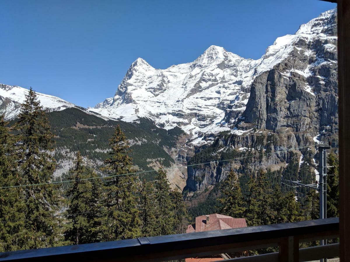 Alpenblick