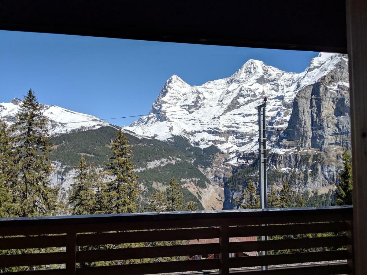 Guest house Alpenblick 2*