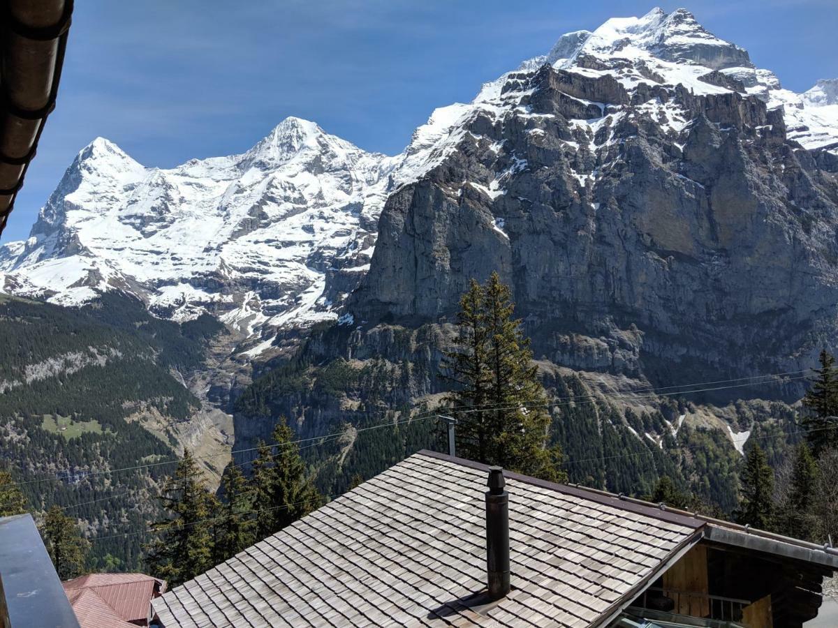 Guest house Alpenblick Murren
